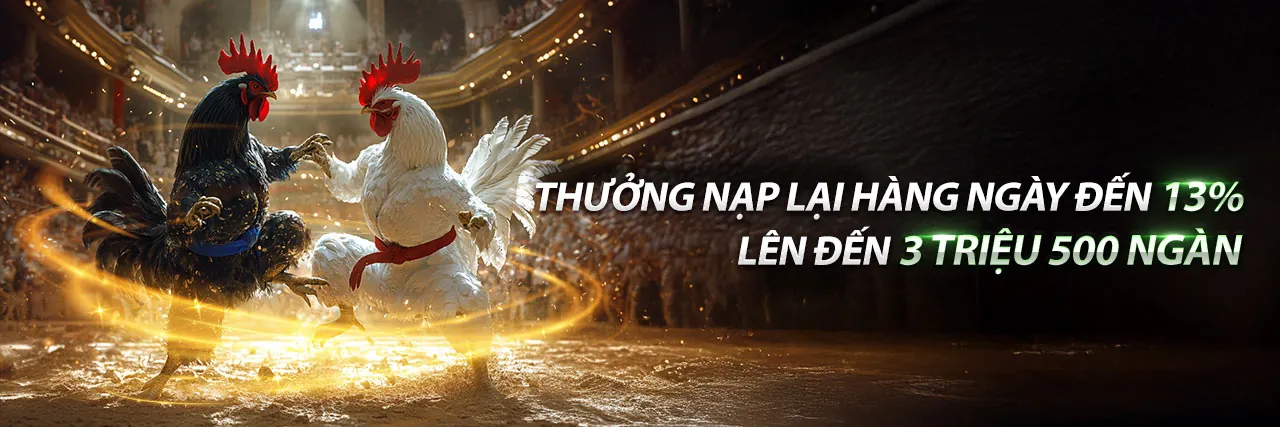Đá Gà Trực Tuyến Hấp Dẫn tại 286bet